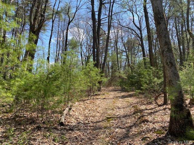 Lot #36 Leers Road - Photo 1
