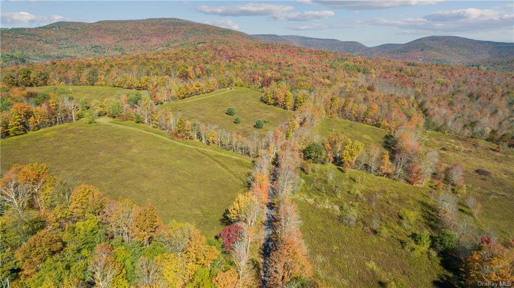 219 Turkey Ridge Road - Photo 1