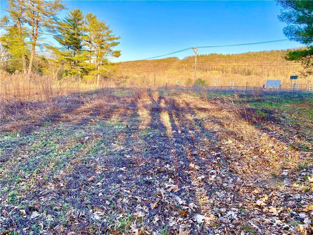 309 Route 209 - Photo 1