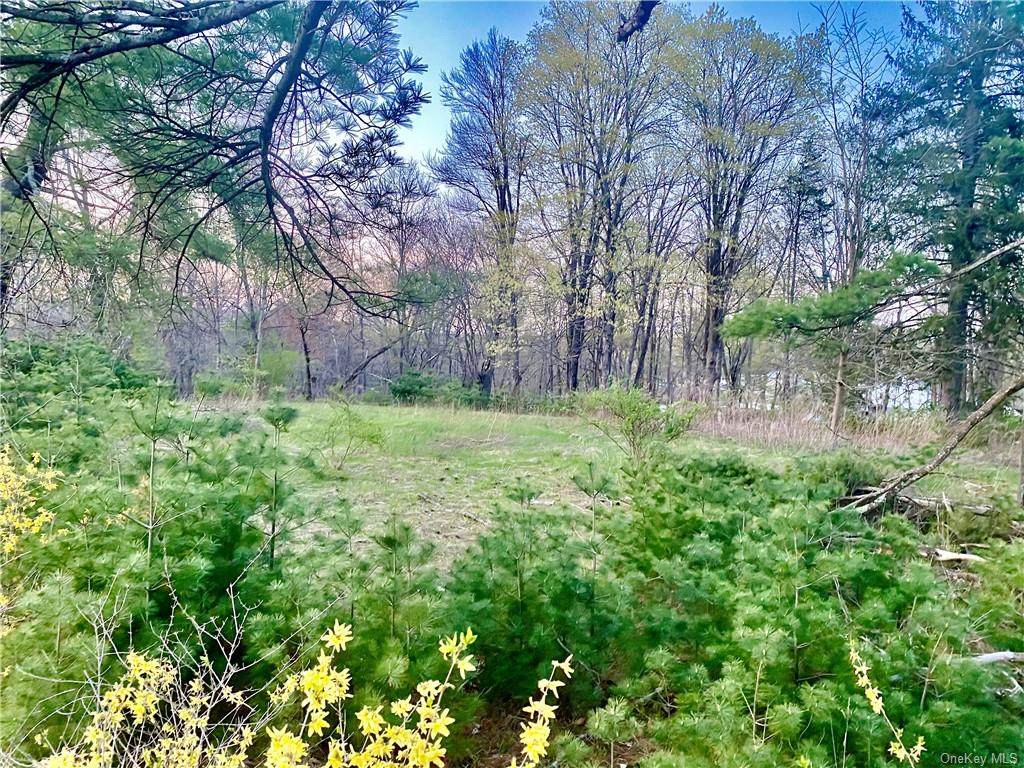 311 Route 209 - Photo 1