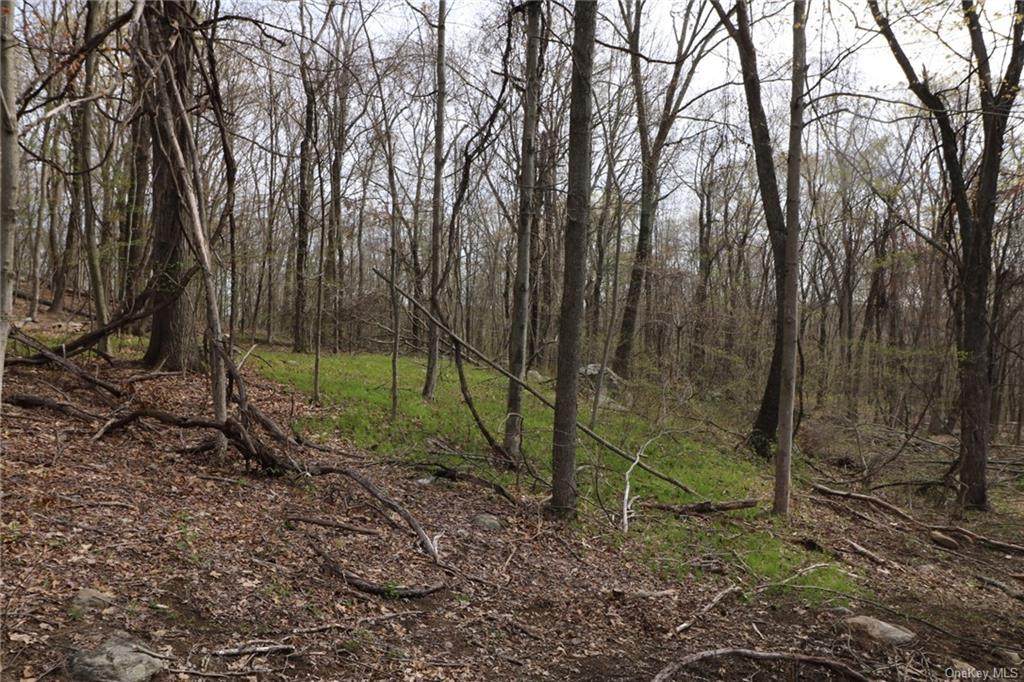 Lot 5 South Road - Photo 1