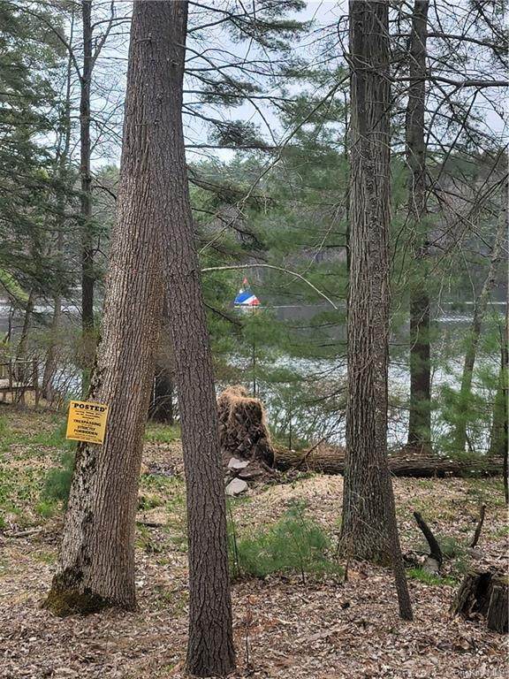 Washington Lake Road - Photo 1