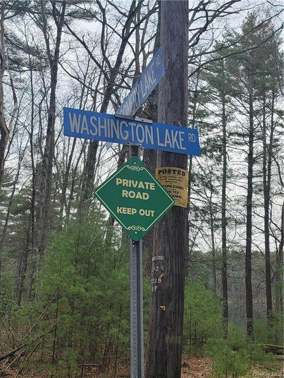 Washington Lake Road - Photo 1