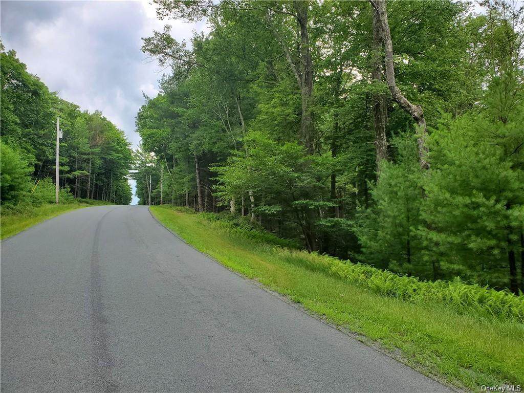 Kalin Weber Rd. Road - Photo 1