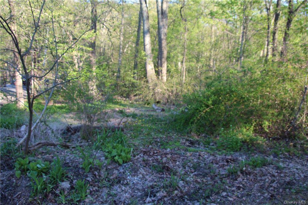 Hillside Road - Photo 1