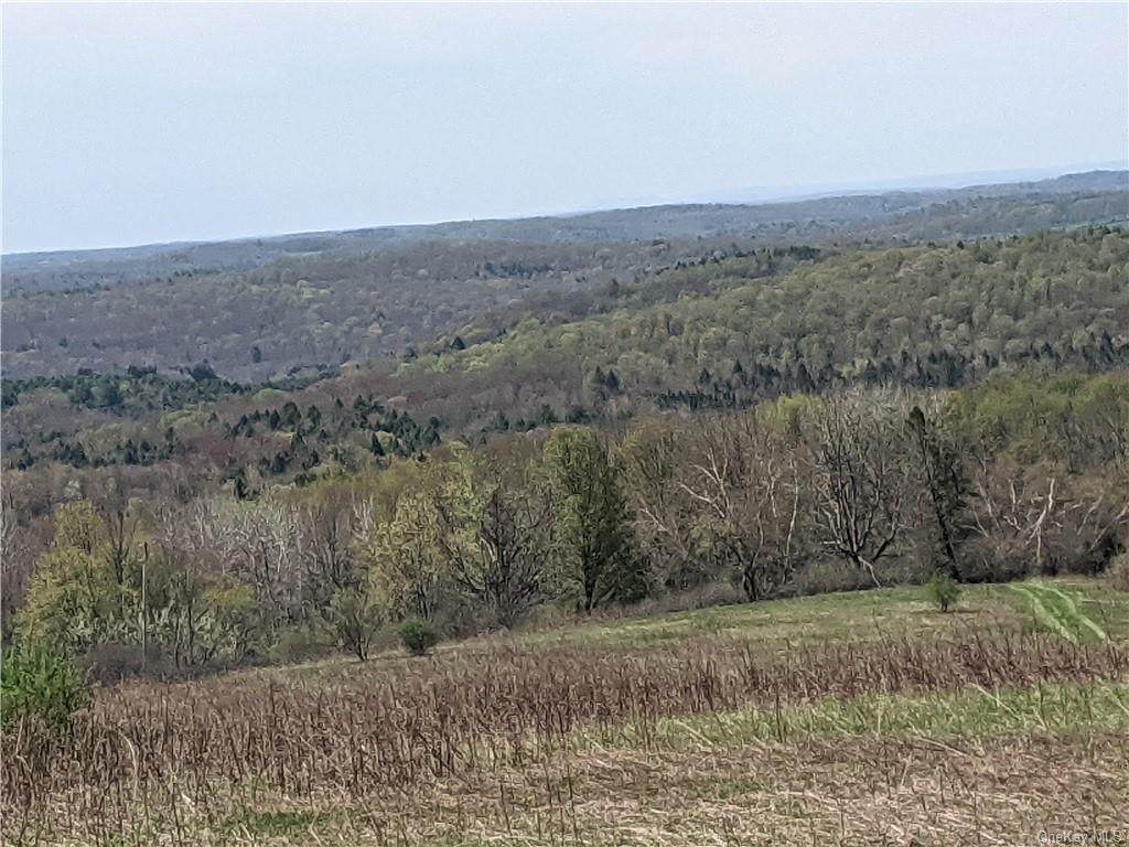 Bennett Road - Photo 1