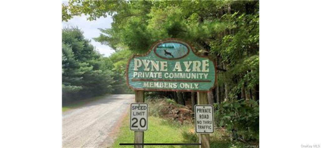 Split Rock Drive - Photo 1