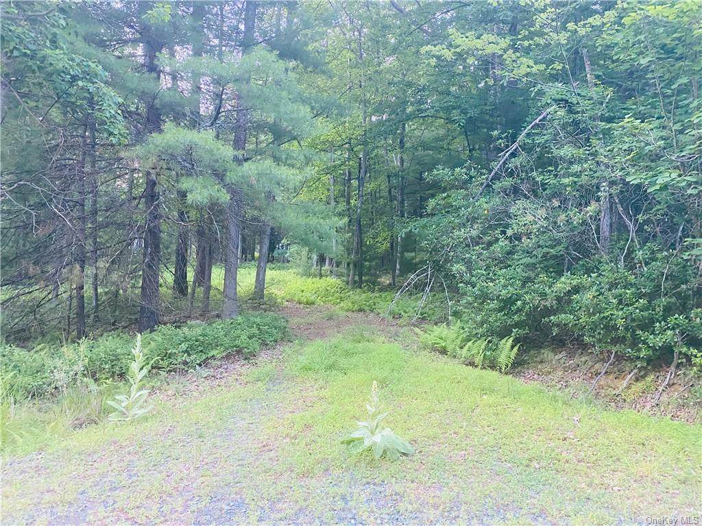 Lot 11 Ivan Franco Road - Photo 1
