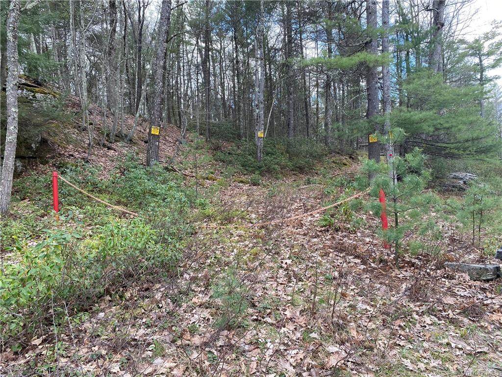 Crystal Lake Rd Lots 14 & 15 - Photo 1