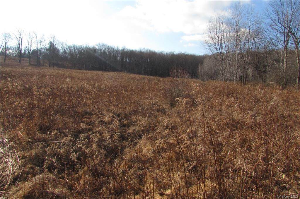0 Old Route 17 - Photo 1