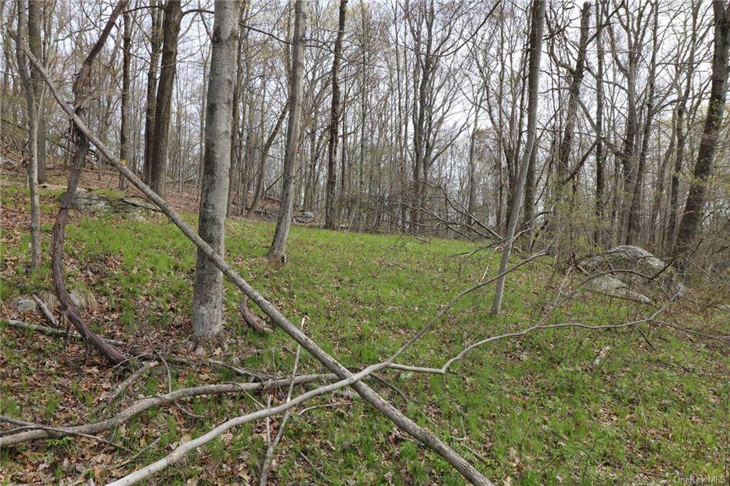69 Bear Hill Road - Photo 1