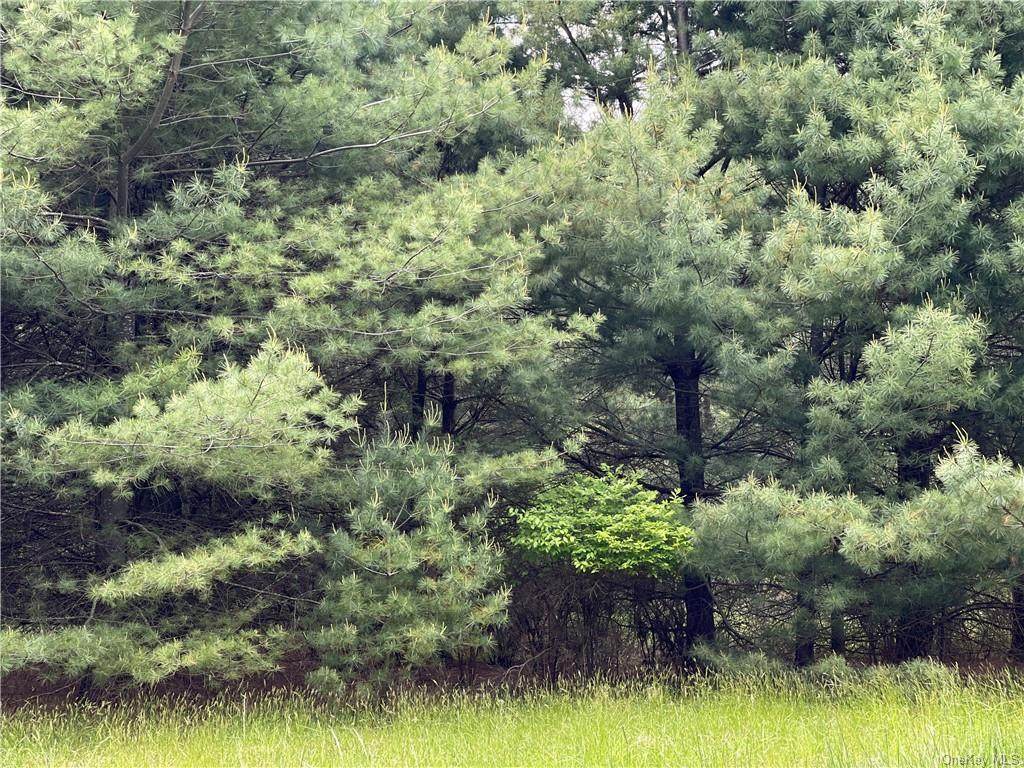 Co Road 22 - Photo 1