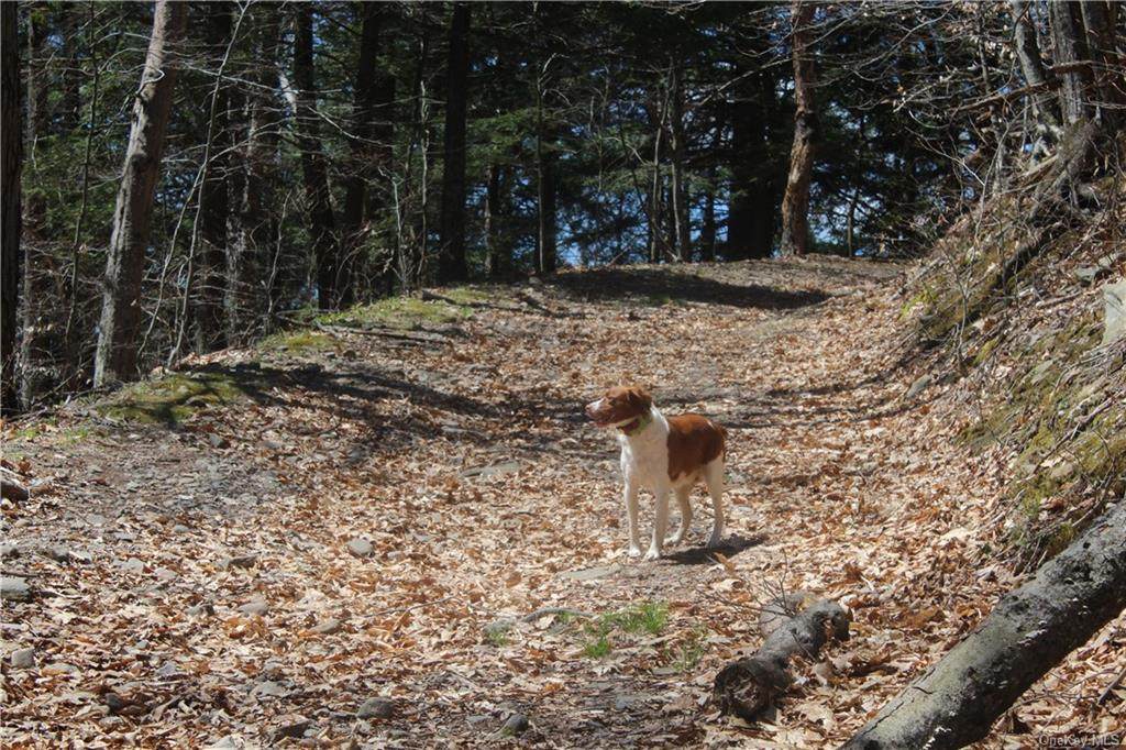 Hood Road - Photo 1
