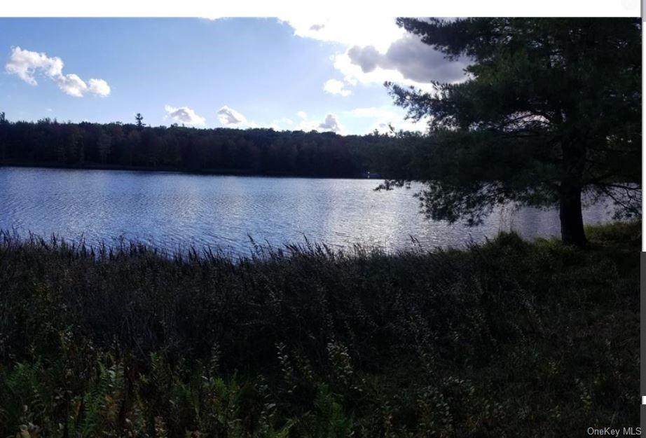 Pine Lake Drive - Photo 1