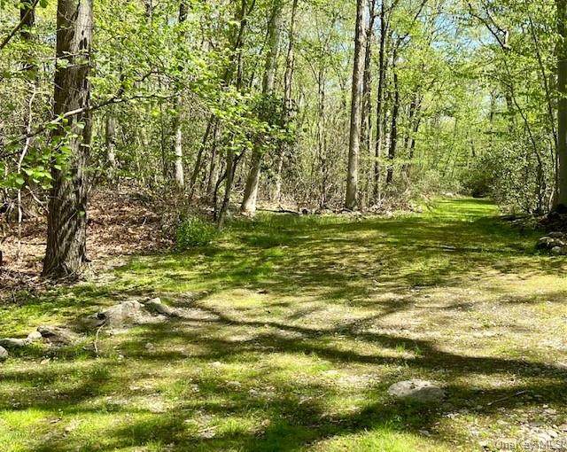 Birch Hill Road - Photo 1