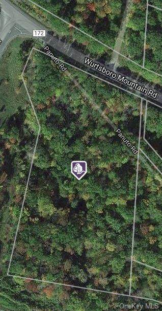27 Wurtsboro Mountain Road - Photo 1