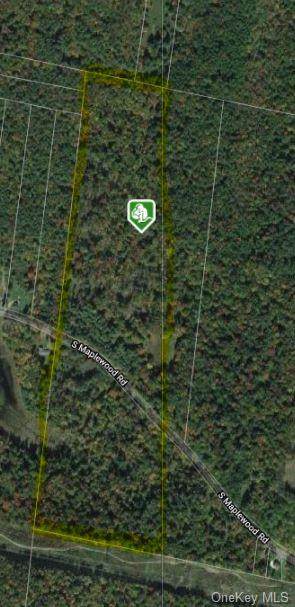 Maplewood Road - Photo 1