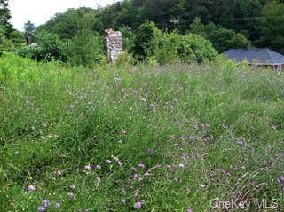 5811 Jordanville Road - Photo 1