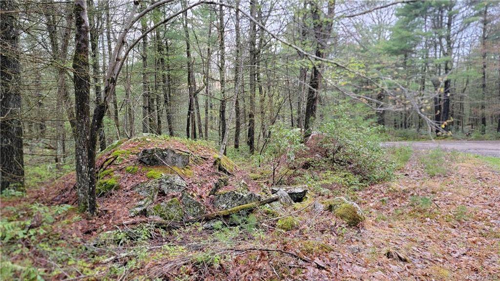 Lot #7 Mud Pond Road - Photo 1