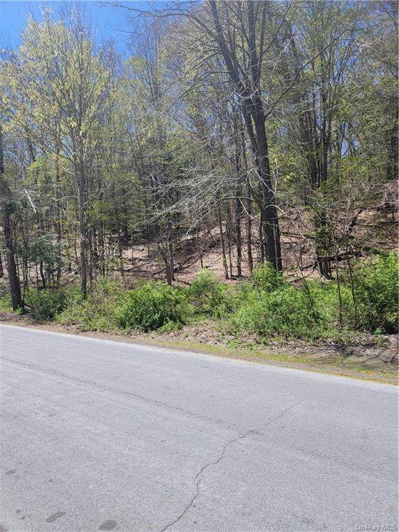 Summitville Road - Photo 1