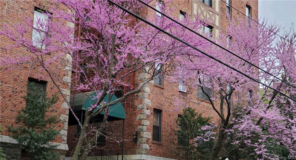 663 Locust Street - Photo 1