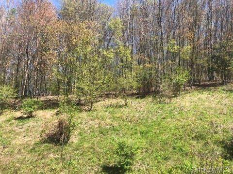 30 Miller Heights/Old Route 17 - Photo 1