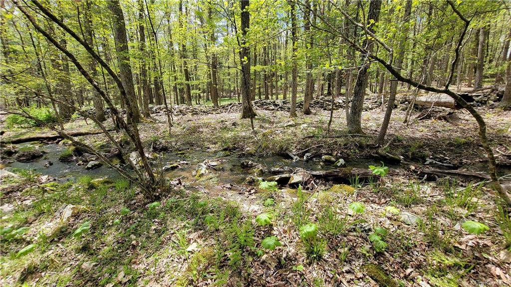 Lot 5 Woods Road - Photo 1