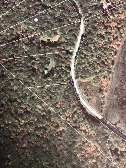 Lot 42 Split Rock Drive - Photo 1