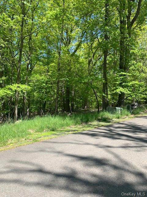 1 Red Oak Ridge Drive - Photo 1