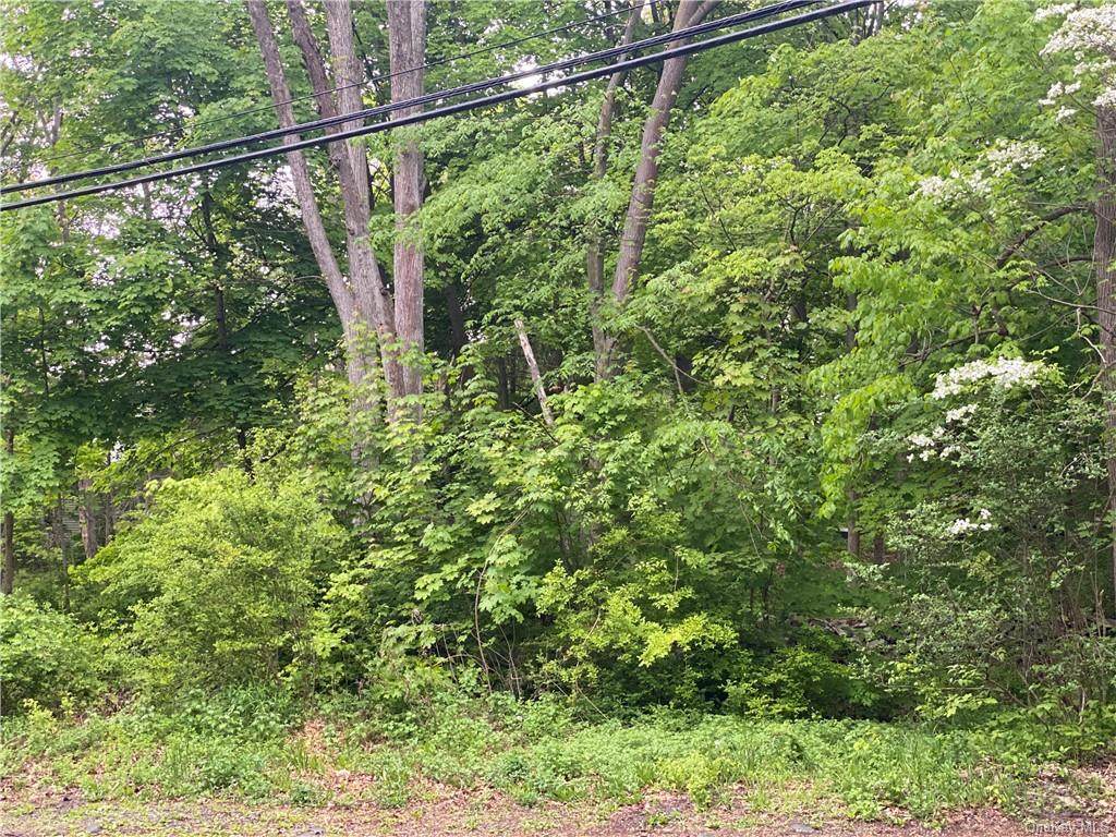 260 Old Tuxedo Road - Photo 1