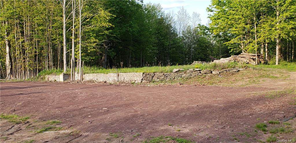 Nys Hwy 55 - Photo 1