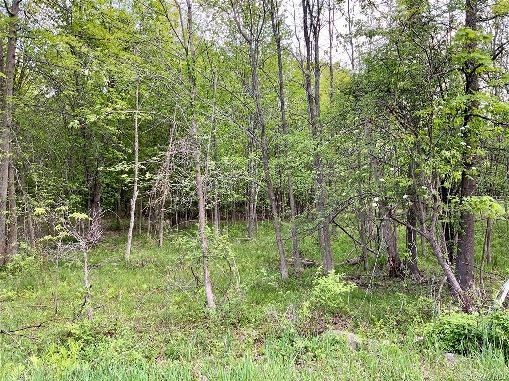 330 Union School Road - Photo 1