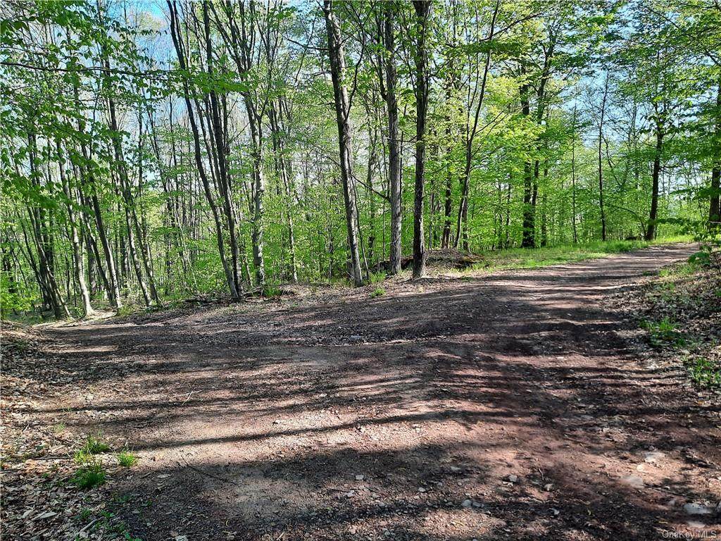Chiloway Road - Photo 1