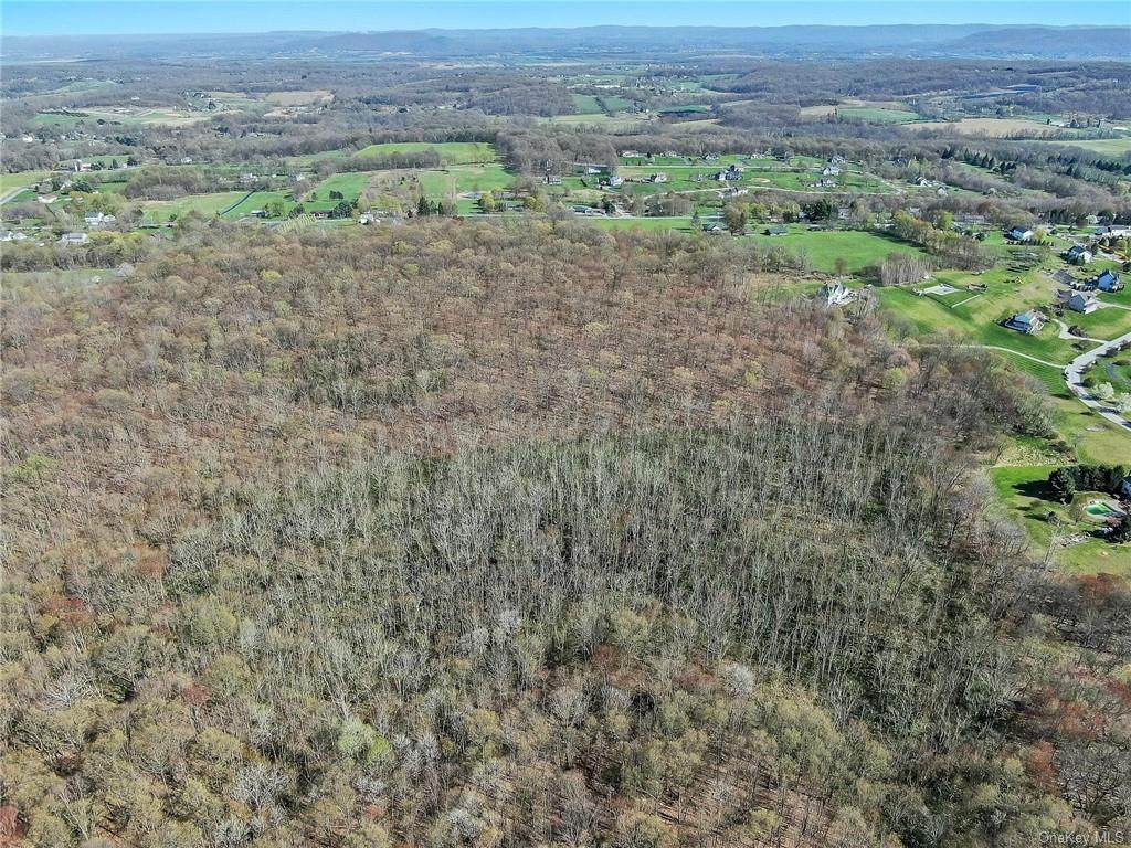 Plank Road - Photo 1