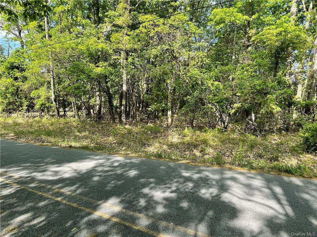 Greenwood Rd N Road - Photo 1