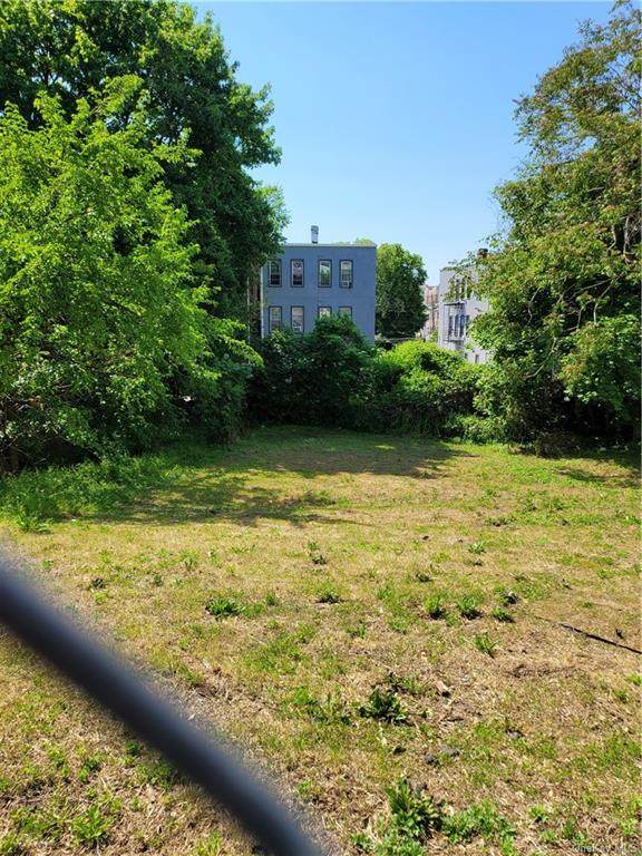 15 Mulberry Street - Photo 1