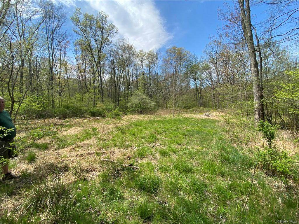 Twin Oaks Lane - Photo 1