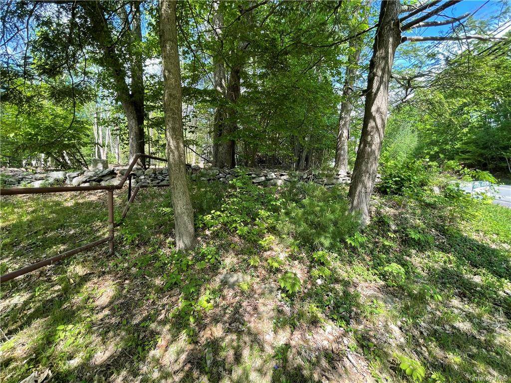 Wurtsboro Mountain Road - Photo 1