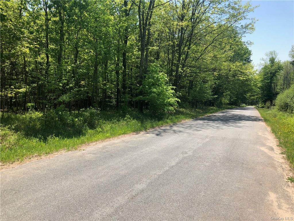 Old Loomis Road - Photo 1