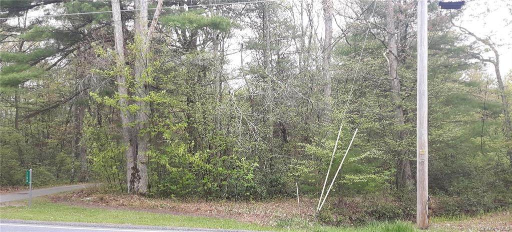 3F-1-76 Forestburgh Road - Photo 1