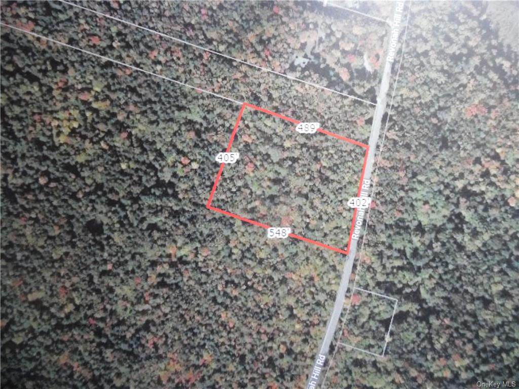 Revonah Hill Road - Photo 1