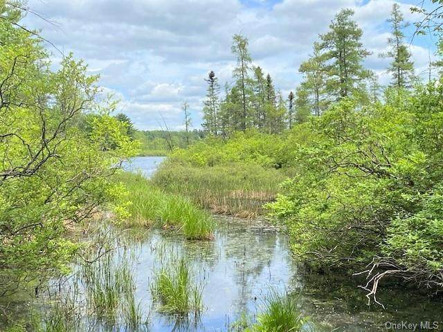 Highland Lake Road - Photo 1