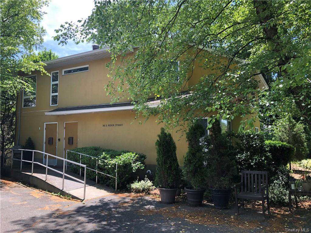 301 Ridge Street - Photo 1