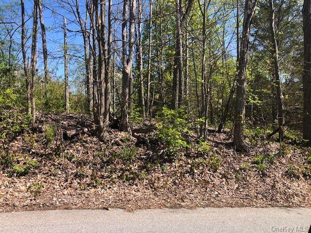 Cold Spring Road - Photo 1