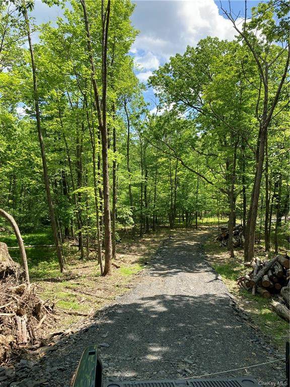 Upper Mountain Road - Photo 1