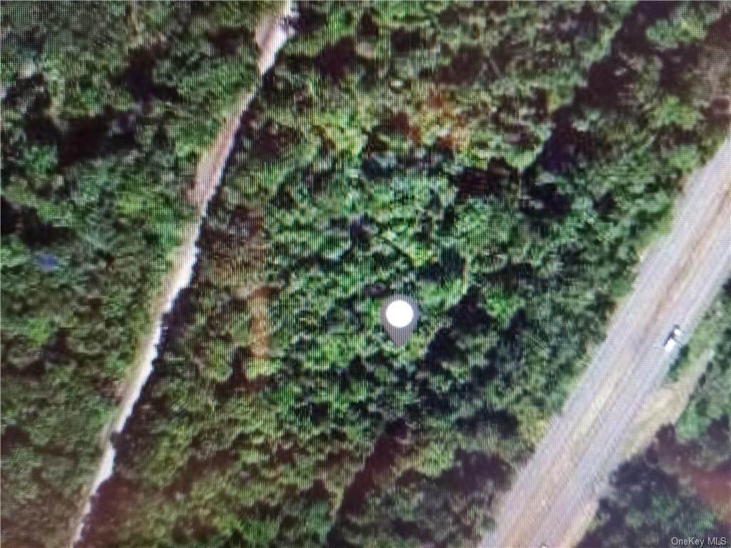 Intst Hwy 87 - Photo 1
