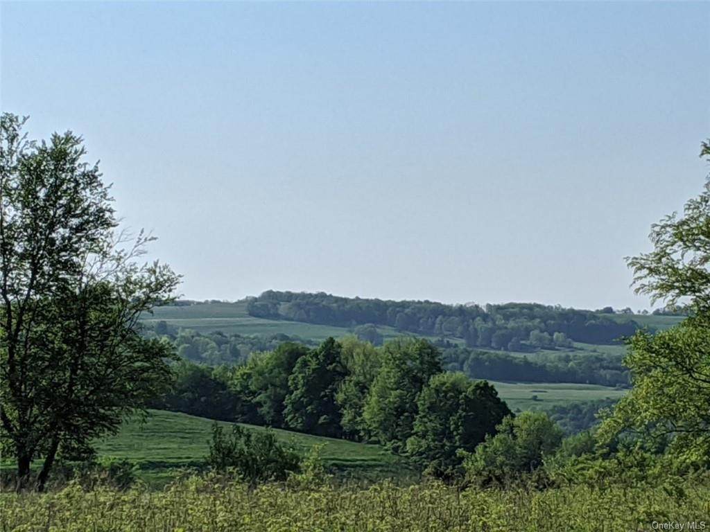 0 Hess Rd Tr54 - Photo 1