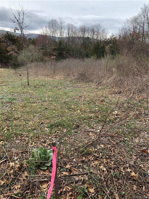 Lot 20 Sherman Hill Road - Photo 1