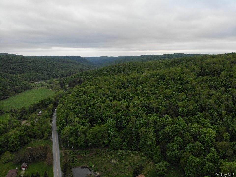 Sands Creek Road - Photo 1