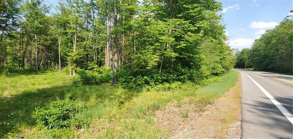 State Route 42 - Photo 1